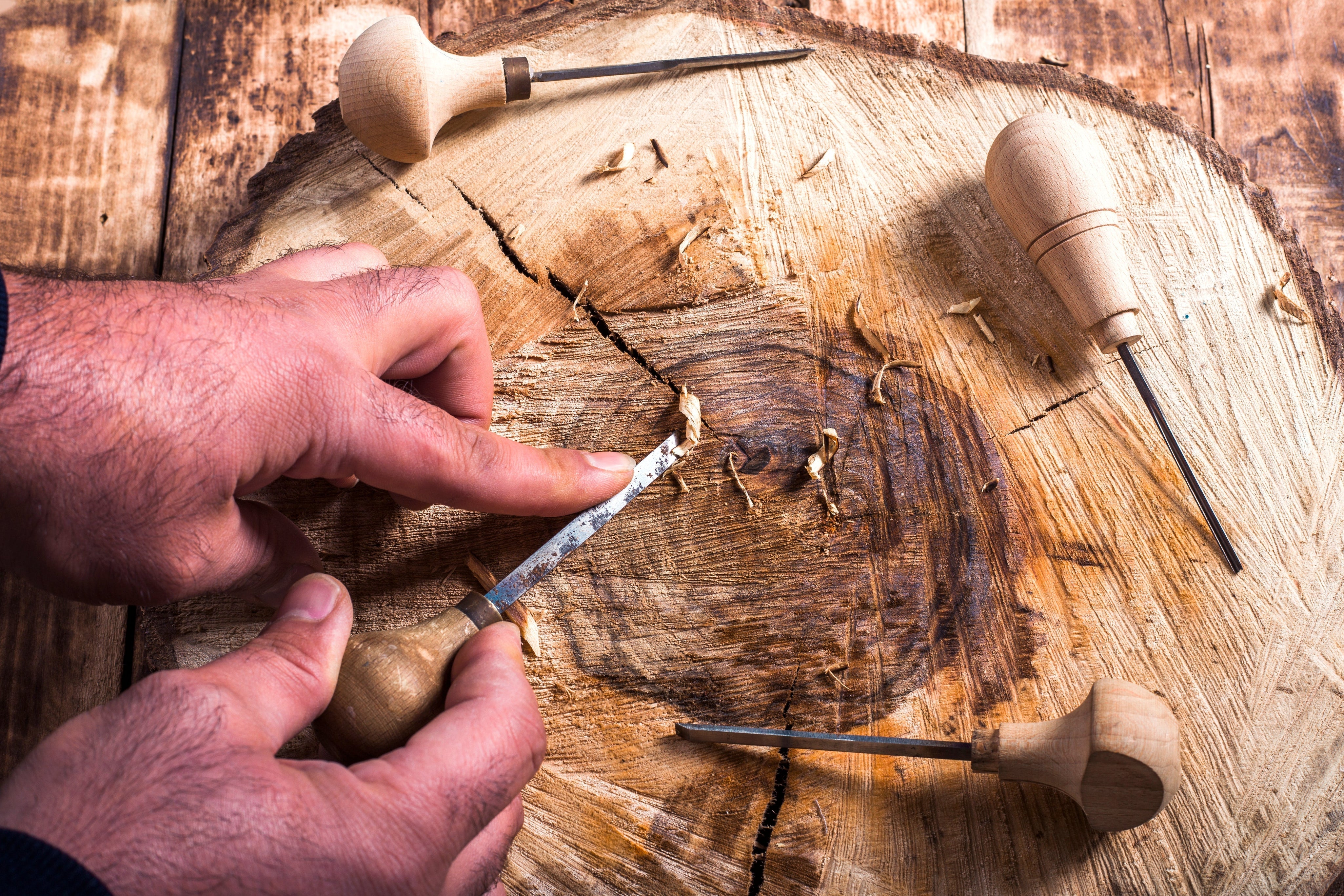 Umgang mit Holzveränderungen: Was tun bei Rissen und Verfärbungen?