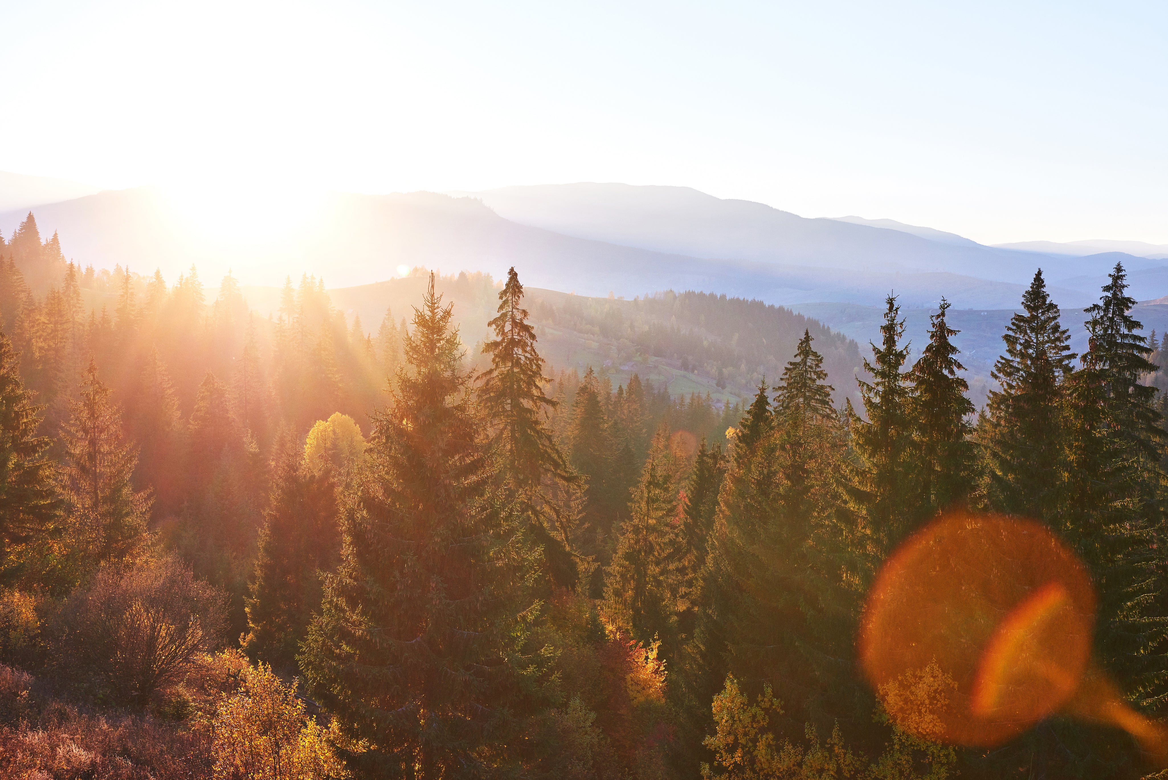 beautiful-autumn-morning-view-point-deep-forest-valley-carpathians-ukraine-europe.jpg