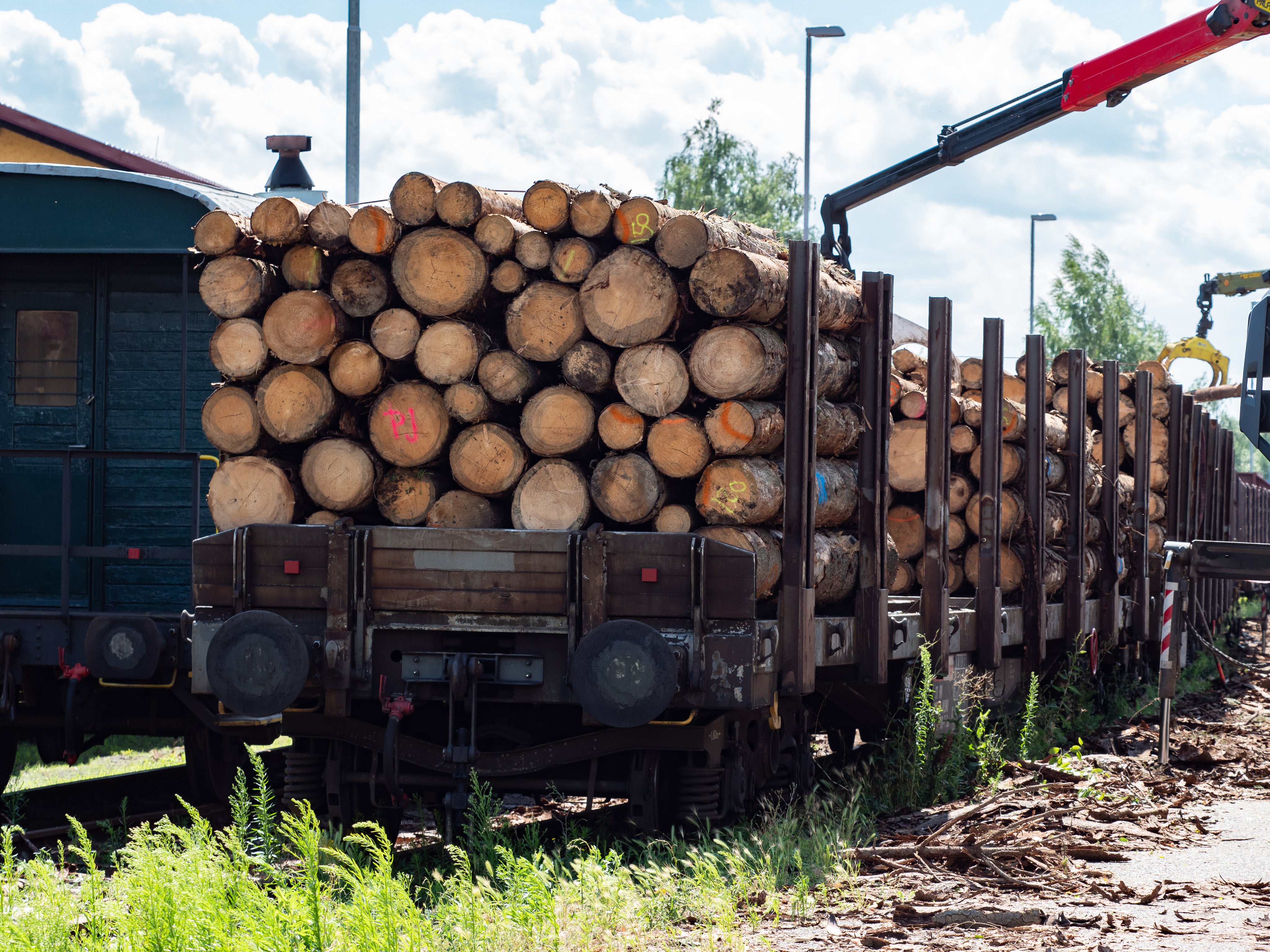 crane-loading-cut-logs-railcar-transport-spruce-logs.jpg