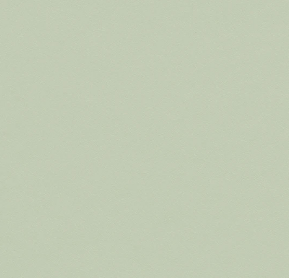 LINOLEUM