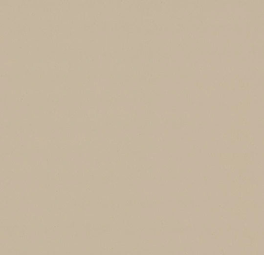 LINOLEUM